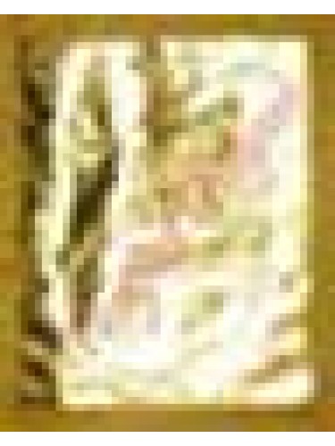 25 Goldleaf one book medium size 4 x 3